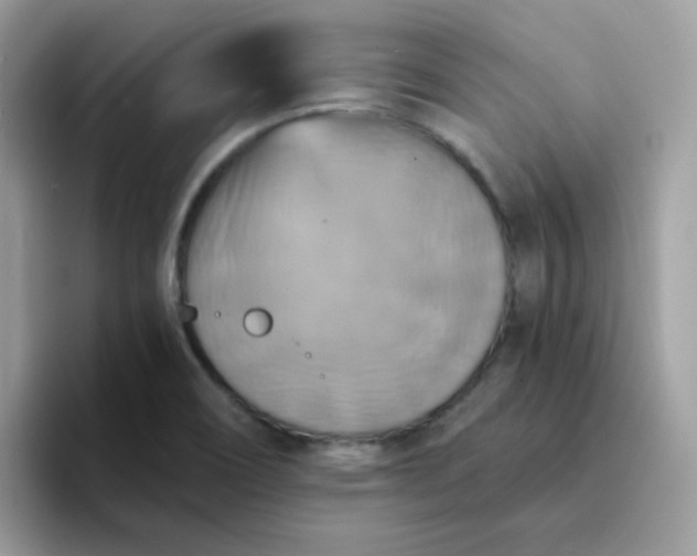 X0000094211466200711091228