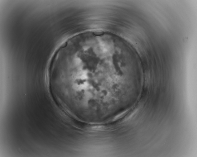 X0000094211467200711091228