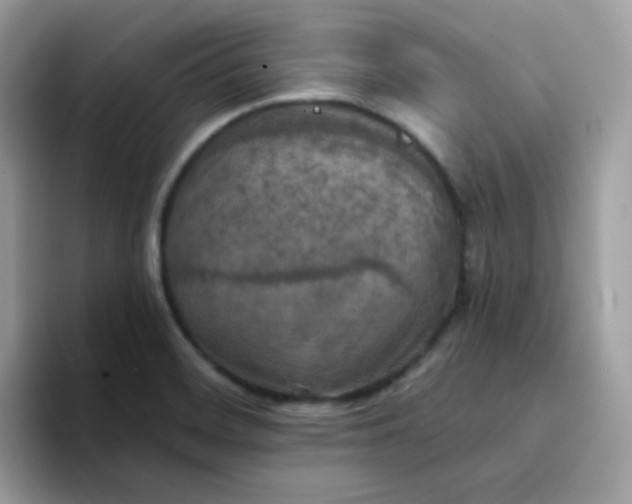 X0000094211468200711091228
