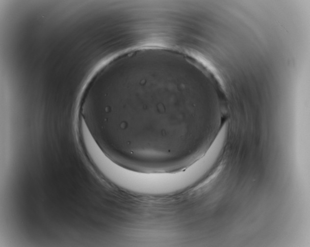 X0000094211469200711091228