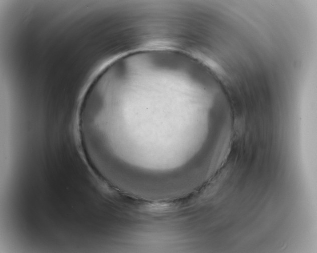 X0000094211470200711091228