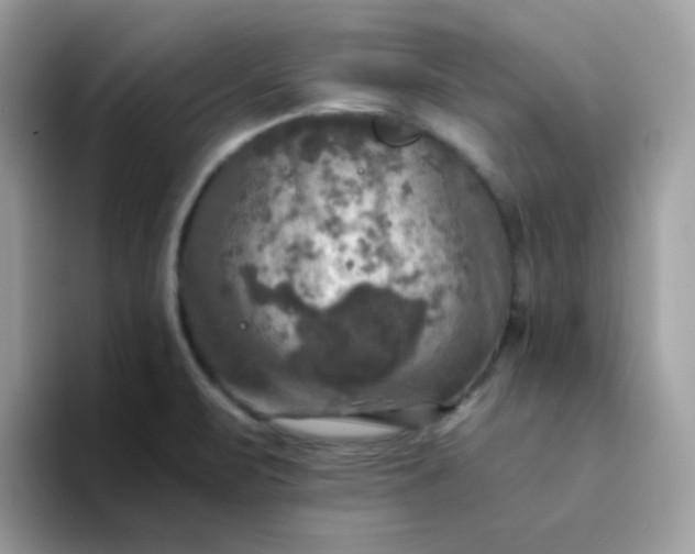 X0000094211471200711091228