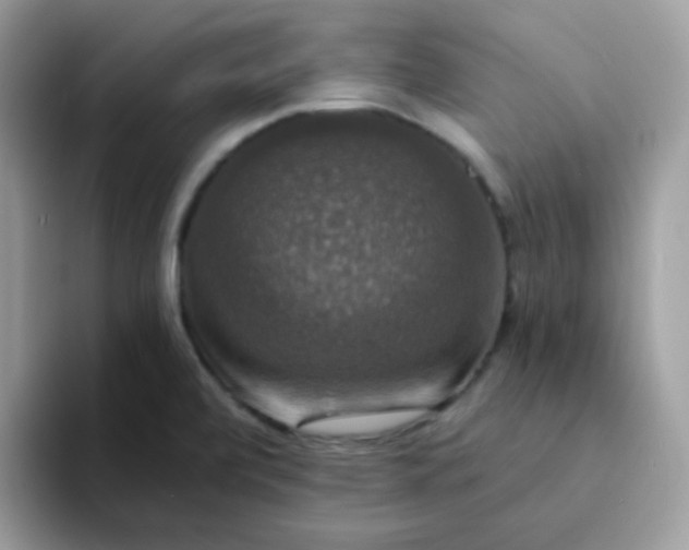 X0000094211472200711091228