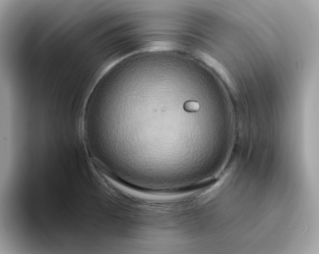 X0000094211473200711091228
