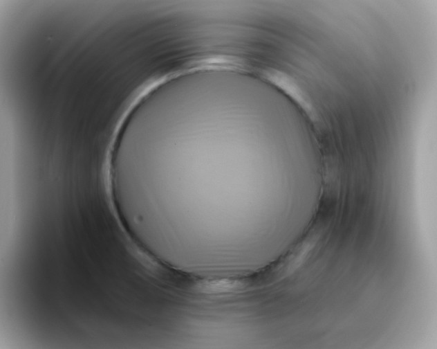 X0000094211474200711091228