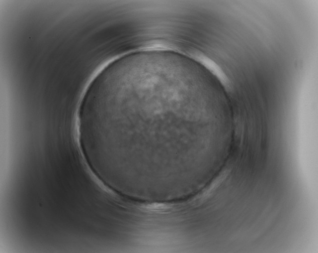 X0000094211476200711091228