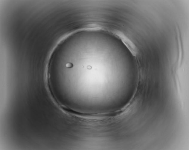 X0000094211477200711091228