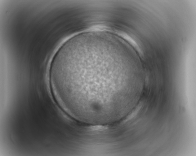 X0000094211478200711091228