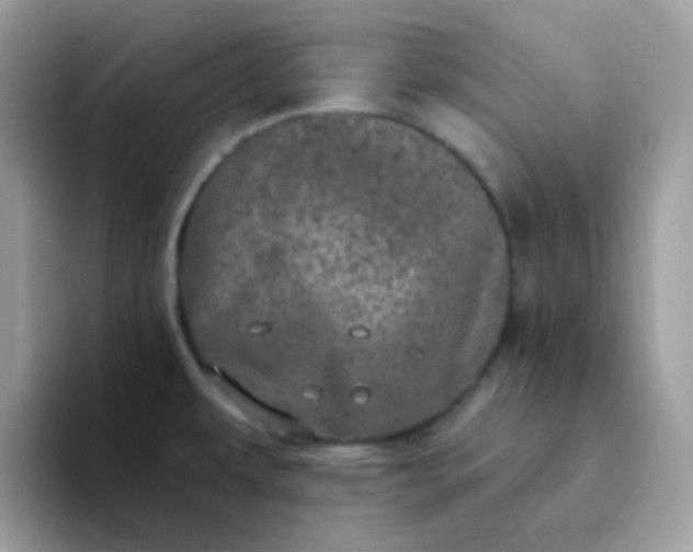 X0000094211479200711091228