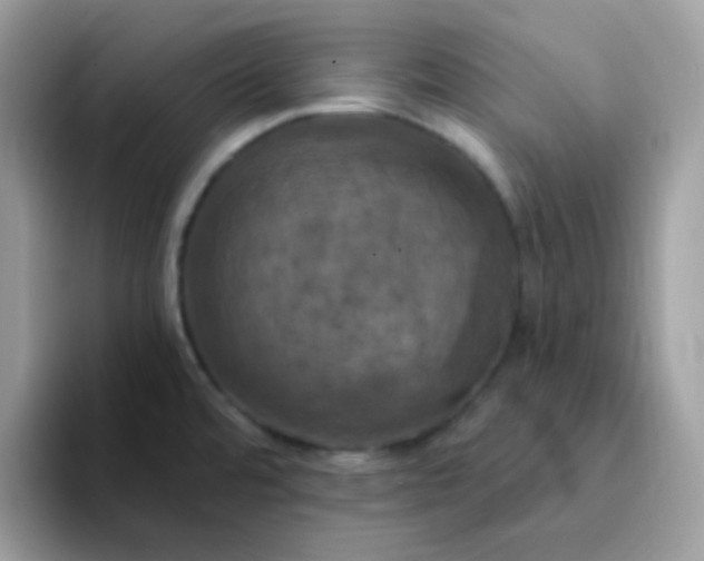 X0000094211480200711091228