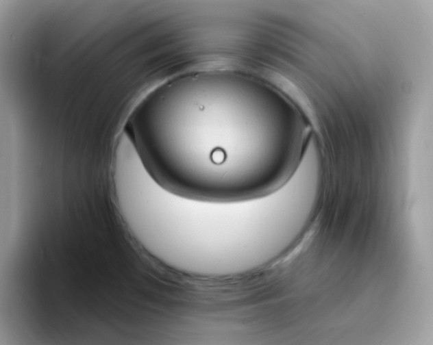 X0000094211481200711091228