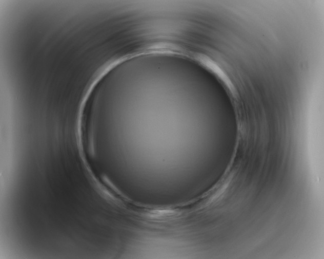 X0000094211482200711091228