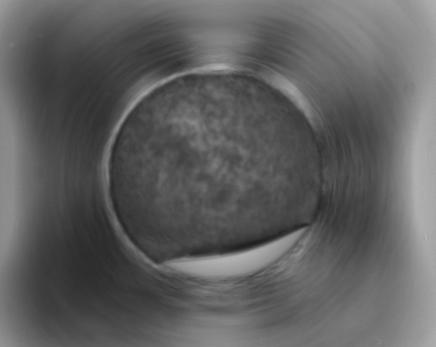 X0000094211483200711091228