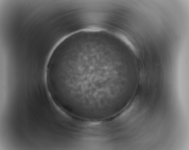 X0000094211484200711091228