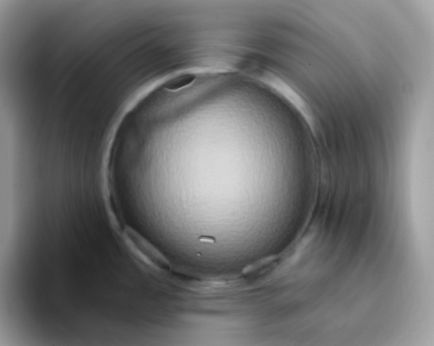 X0000094211485200711091228