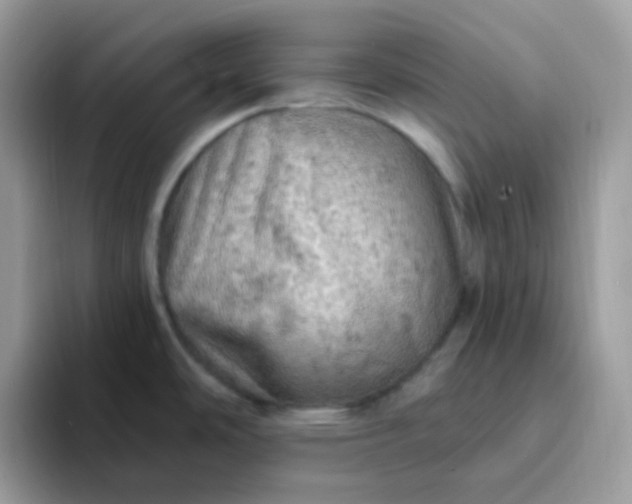 X0000094211486200711091228