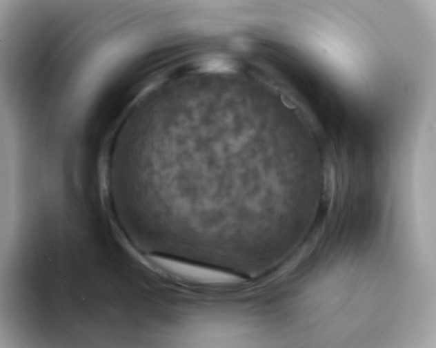 X0000094211487200711091228