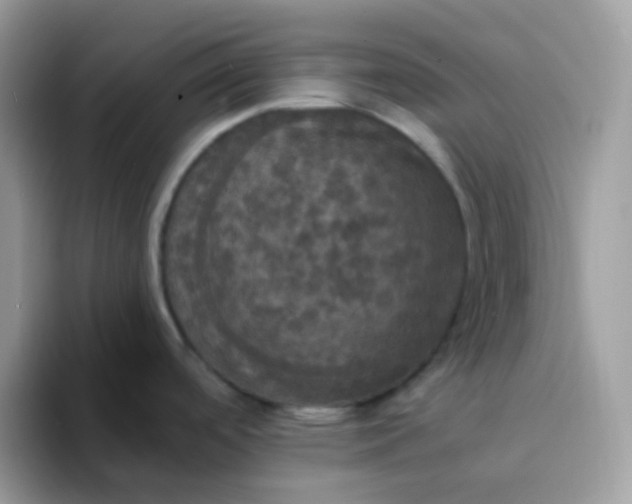 X0000094211488200711091228