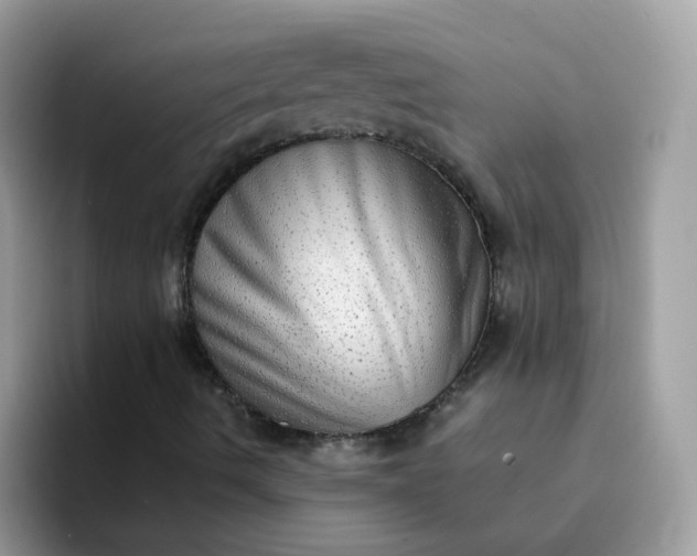 X0000094211490200711091228