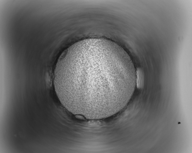 X0000094211491200711091228