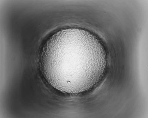 X0000094211494200711091228