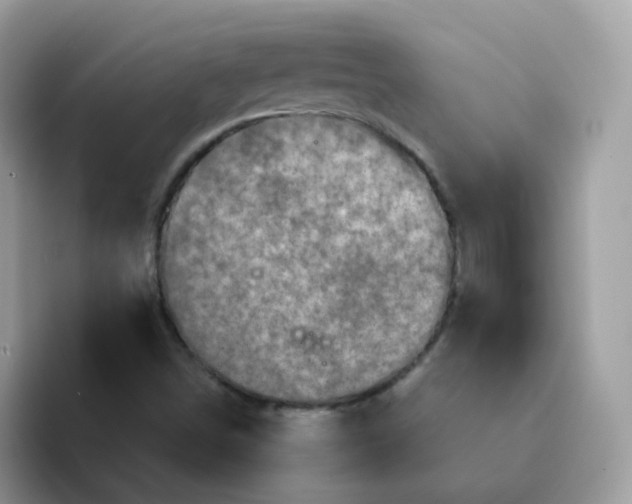 X0000094211498200711091228
