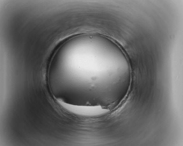 X0000094211499200711091228