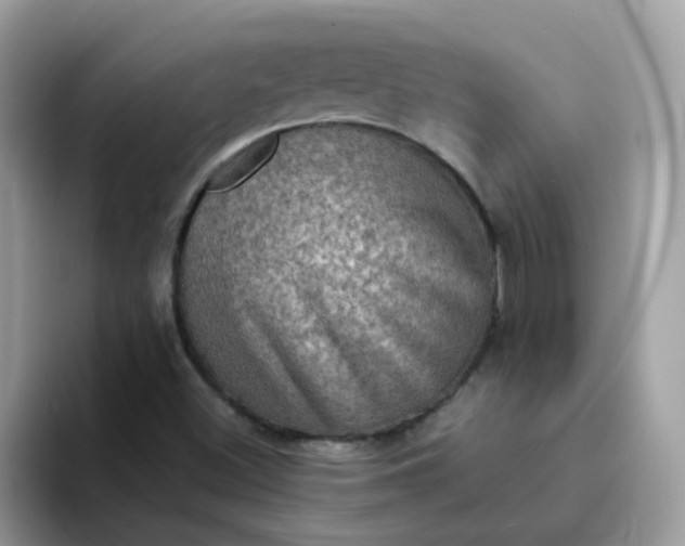 X0000094211500200711091228