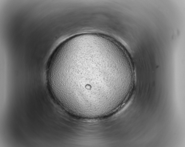 X0000094211501200711091228