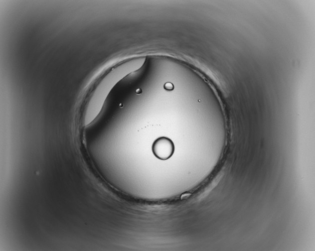 X0000094211502200711091228