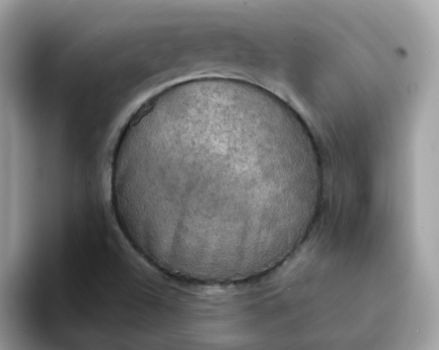 X0000094211504200711091228