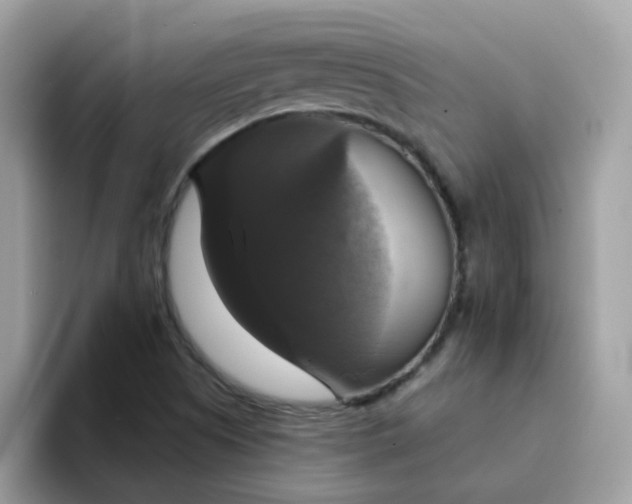 X0000094211505200711091228