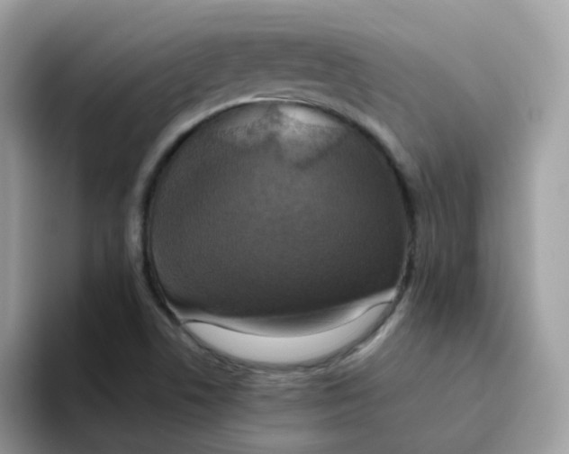 X0000094211506200711091228