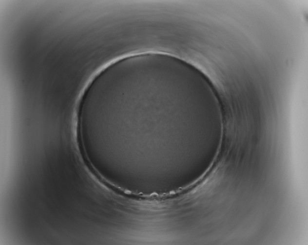X0000094211508200711091228