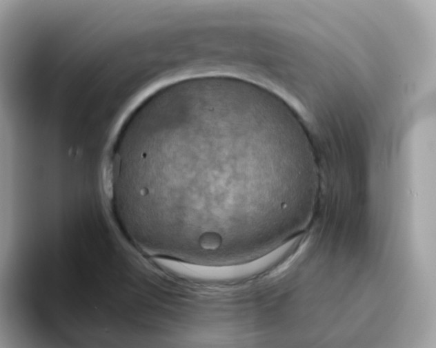 X0000094211510200711091228