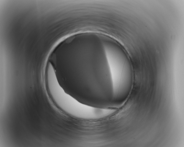 X0000094211515200711091228