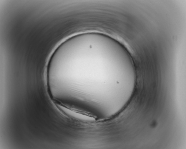 X0000094211516200711091228