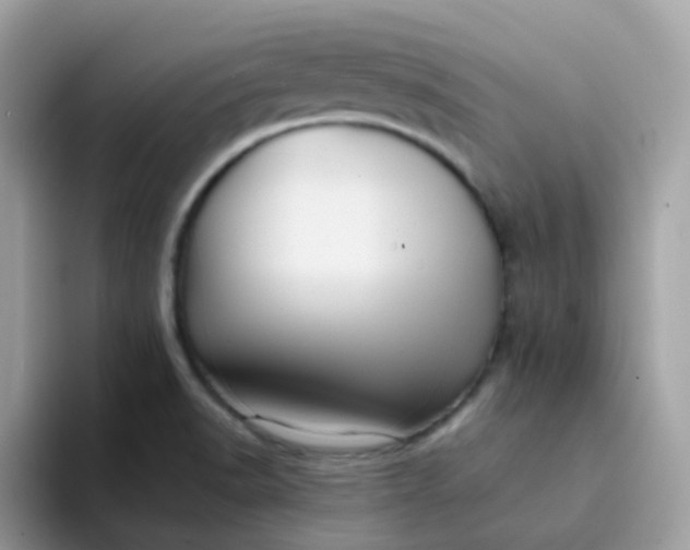 X0000094211518200711091228