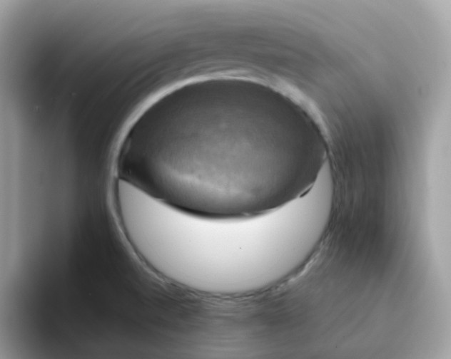 X0000094211520200711091228