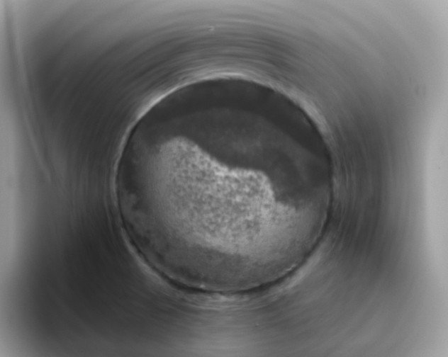 X0000094211521200711091228