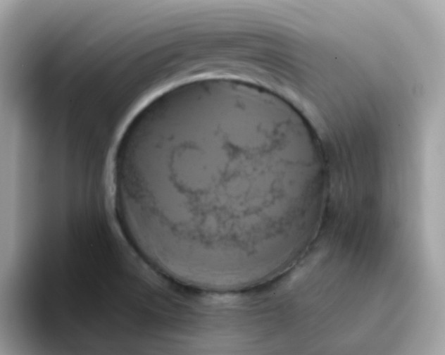X0000094211522200711091228