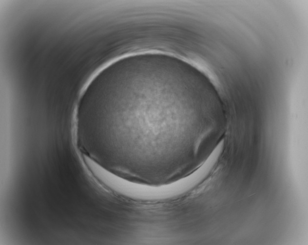 X0000094211524200711091228