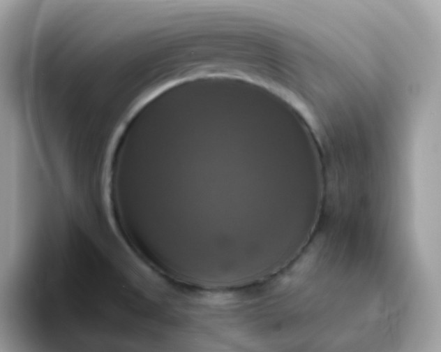 X0000094211525200711091228
