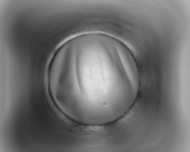 X0000094211526200711091228