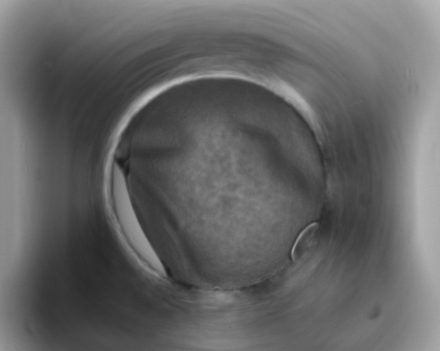 X0000094211528200711091228