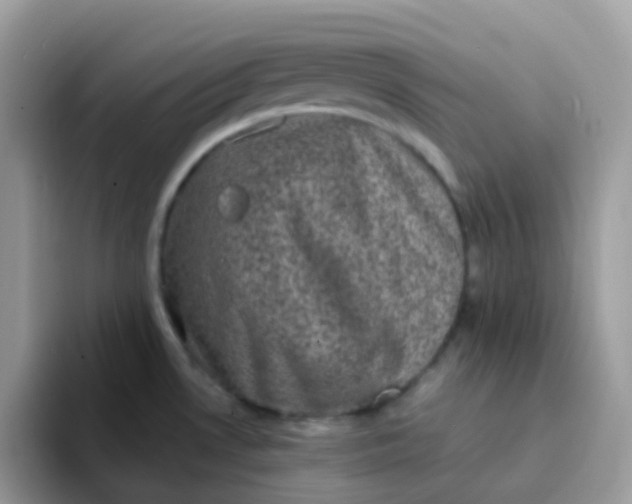 X0000094211530200711091228