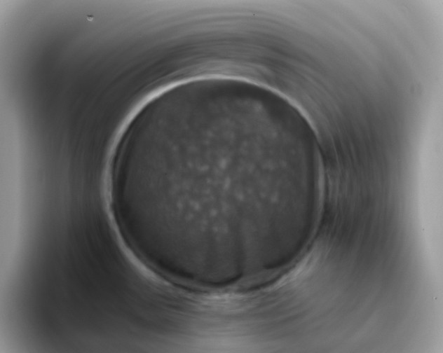 X0000094211531200711091228