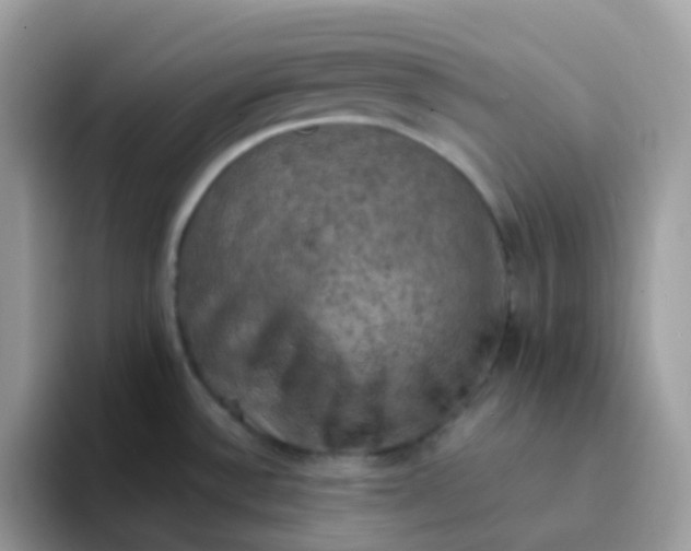 X0000094211532200711091228