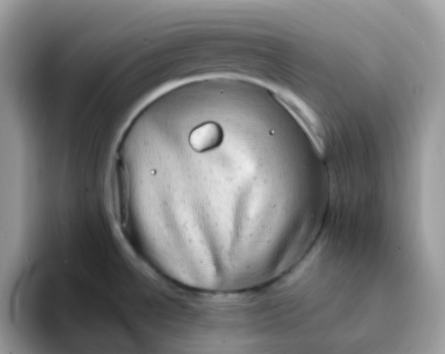 X0000094211534200711091228