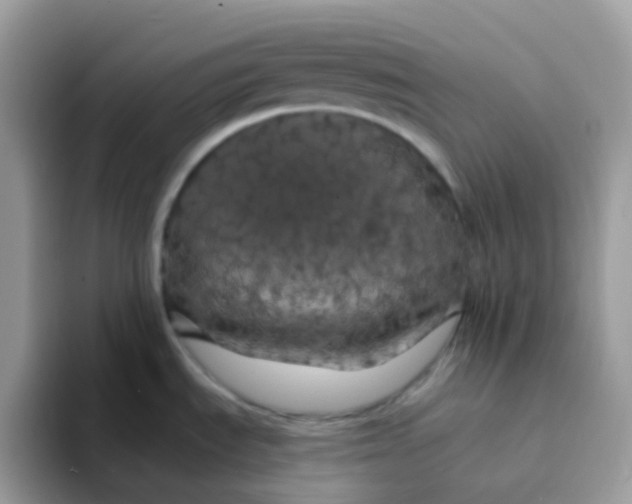 X0000094211535200711091228